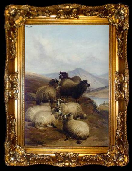 framed  unknow artist Sheep 192, ta009-2